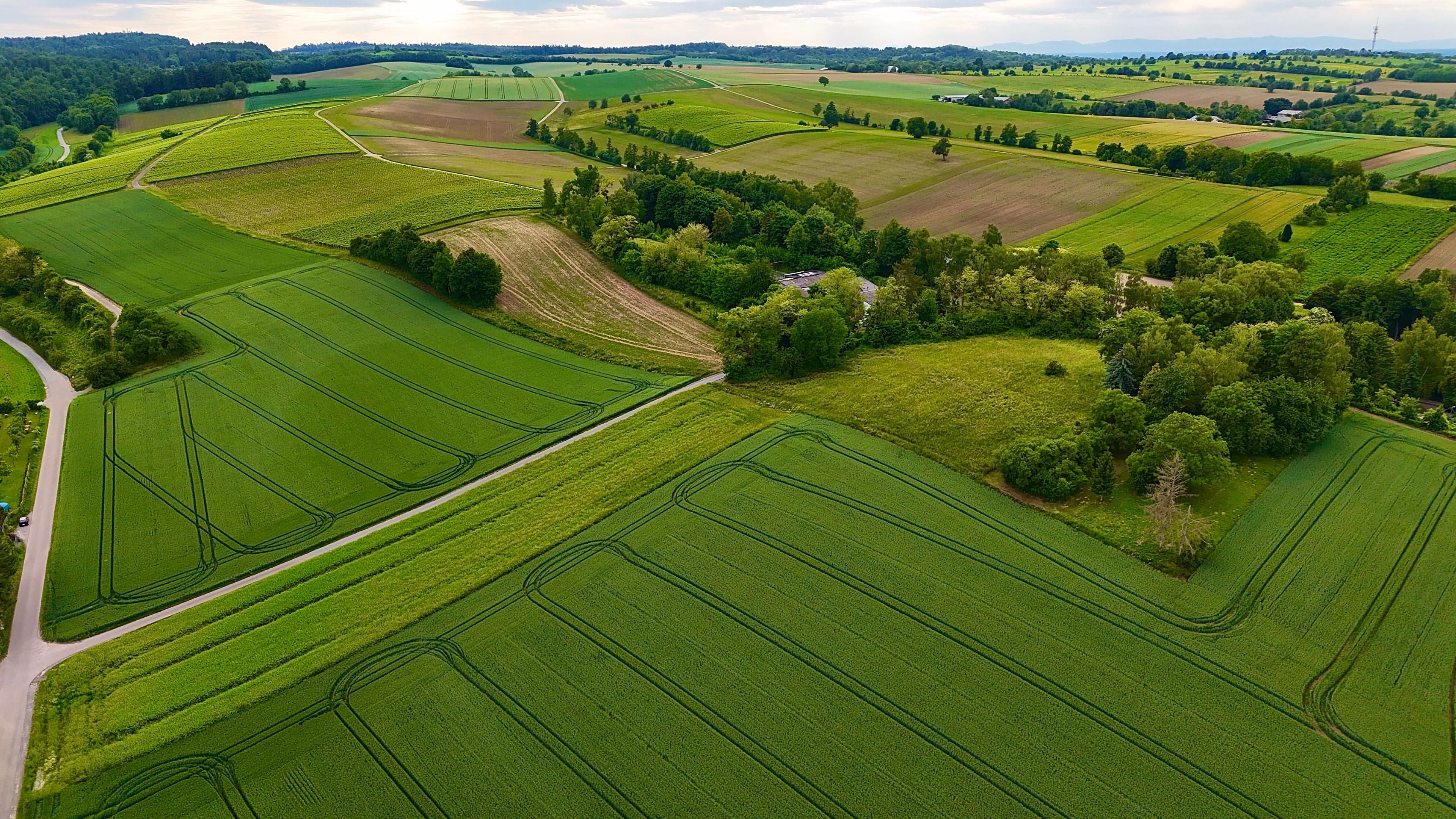 OPEN PLOTS